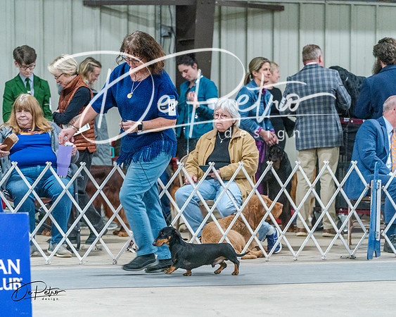 20240218-DSC02572