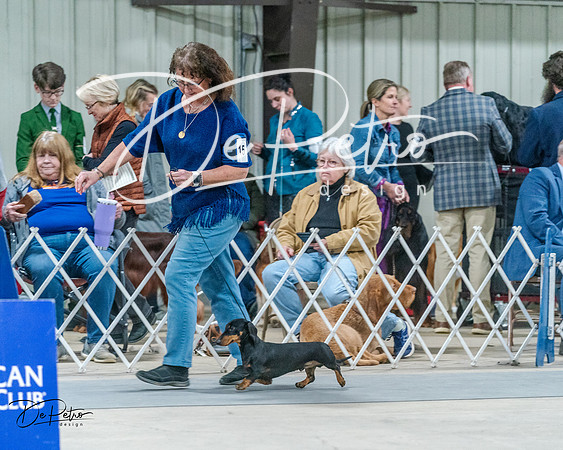 20240218-DSC02573