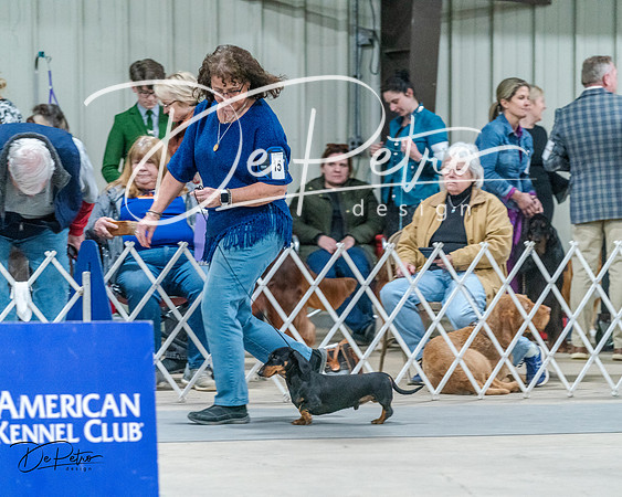 20240218-DSC02577