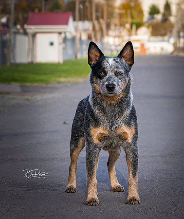 DSC09452-Edit