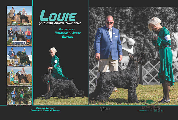 louie 11119