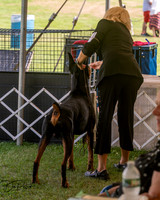 20250628-DSC07987