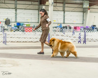 20220226-DSC03925