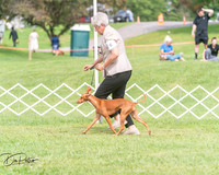 20250628-DSC08292