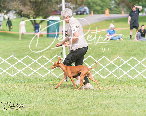 20250628-DSC08292