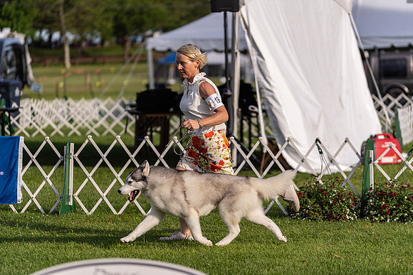 20190608-DSC05972