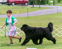 20250626-DSC04048