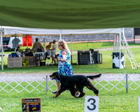 20240815-DSC07933
