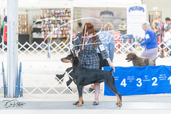 20240303-DSC07731