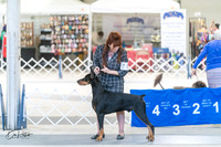 20240303-DSC07726