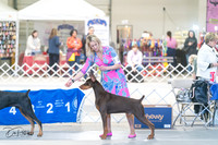 20240303-DSC07736