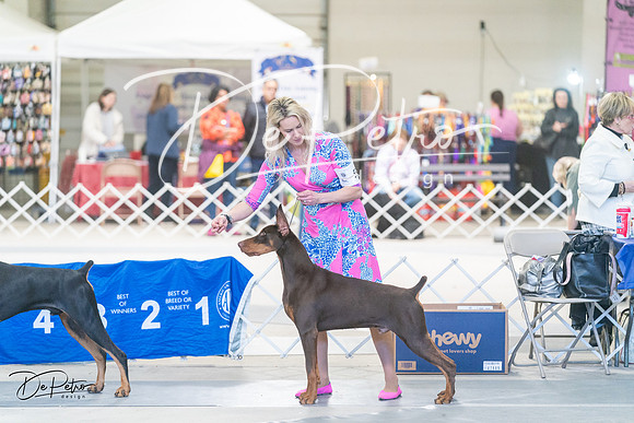 20240303-DSC07738
