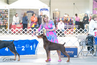 20240303-DSC07739