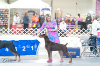 20240303-DSC07741
