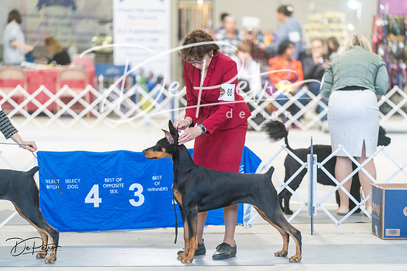 20240303-DSC07765