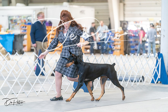 20240303-DSC07798
