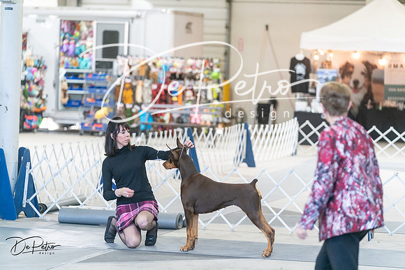 20240303-DSC07854