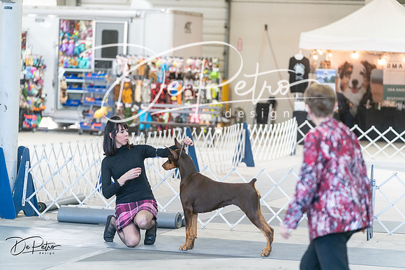 20240303-DSC07855