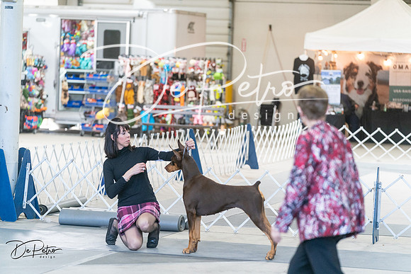 20240303-DSC07856