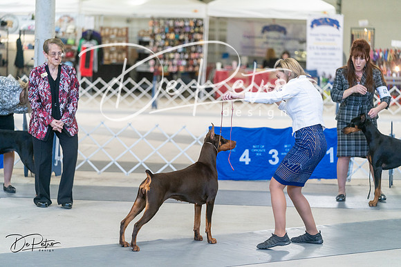 20240303-DSC07933