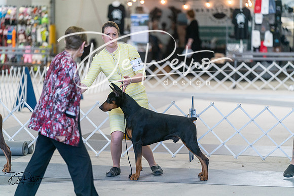 20240303-DSC07995