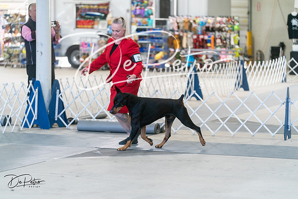 20240303-DSC08014