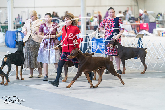 20240303-DSC08058