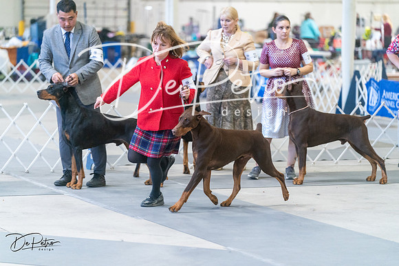 20240303-DSC08063