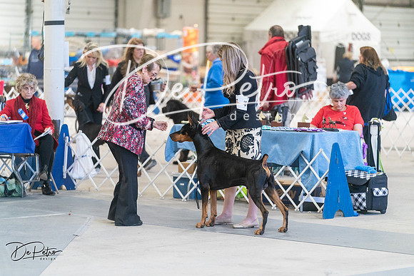 20240303-DSC08104