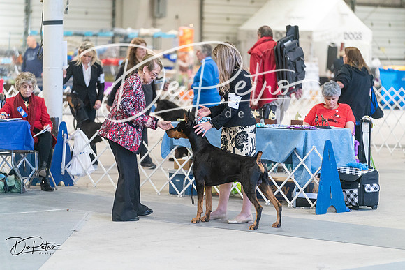 20240303-DSC08105