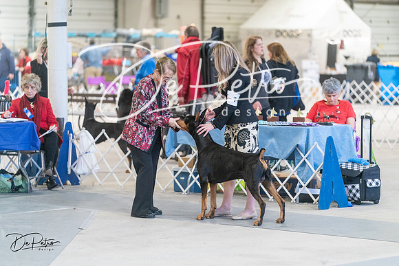 20240303-DSC08109