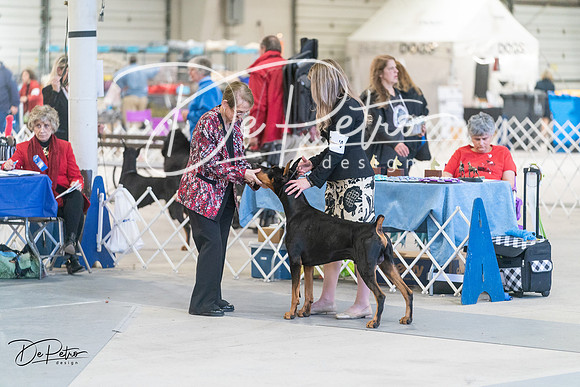 20240303-DSC08110