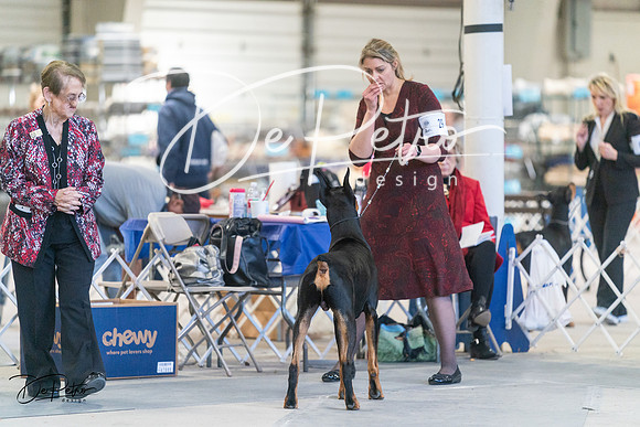 20240303-DSC08156