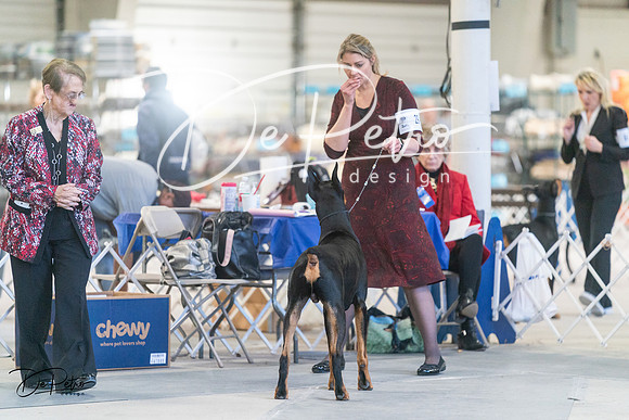 20240303-DSC08157