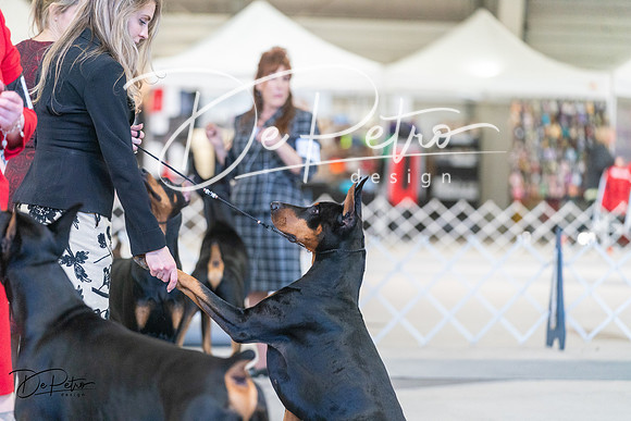 20240303-DSC08177