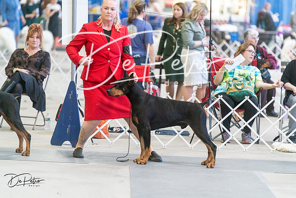 20240303-DSC08265