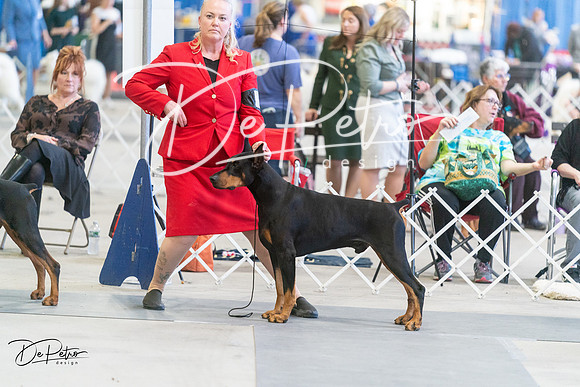 20240303-DSC08267