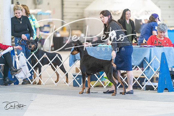 20240303-DSC08319