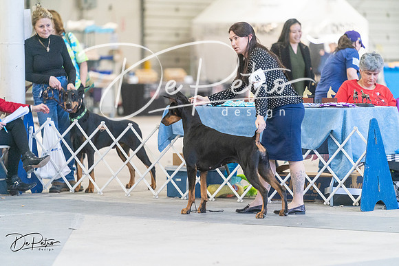 20240303-DSC08320