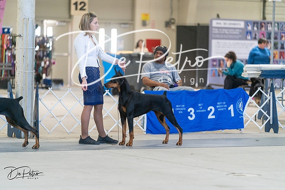 20240303-DSC08354
