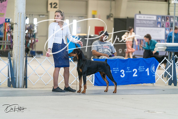 20240303-DSC08357