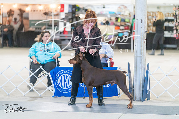 20240303-DSC08414