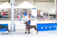 20240303-DSC07719