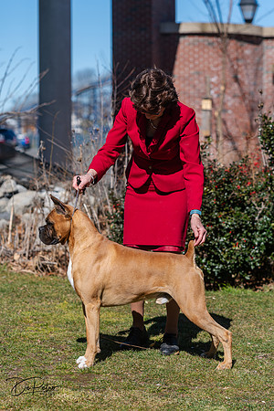 20240303-DSC02492