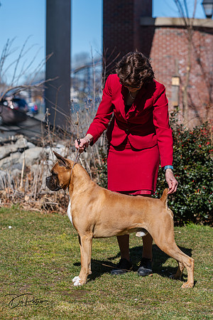 20240303-DSC02490