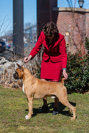 20240303-DSC02491