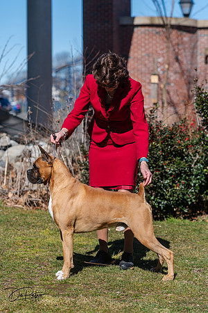 20240303-DSC02494