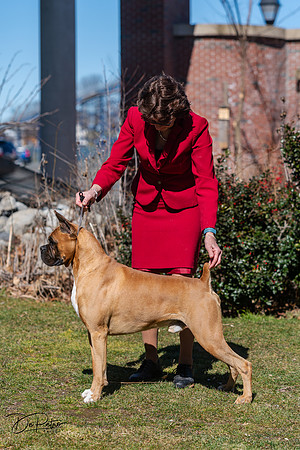 20240303-DSC02493