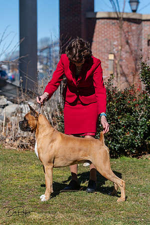 20240303-DSC02495