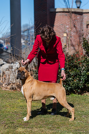 20240303-DSC02503